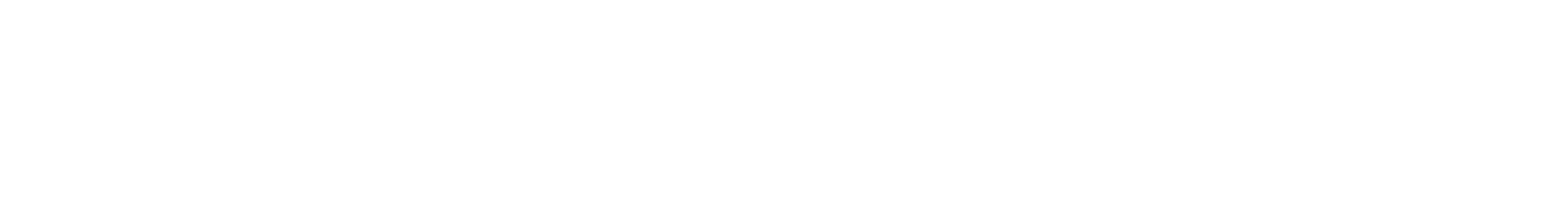 Tallahassee Symphony Orchestra